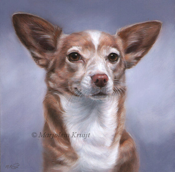 'Moenie', 20x20 cm, petportrait dog oil painting (sold/commission)