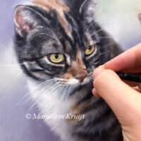 Kattenkunst, kattenportretten, schilderijen in opdracht door Marjolein Kruijt