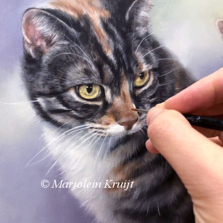 Cat portrait in oil