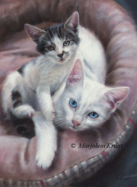 'Kittens', 24x18 cm, oil portrait (sold/commission)