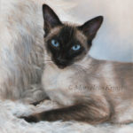 'Siamese', 40x30 cm, oil painting (sold)
