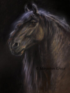'Freasian horse portrait', free painting in oil (sold)