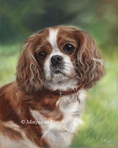 'Cavalier king charles Spaniel', 30x24 cm, oil painting (sold)
