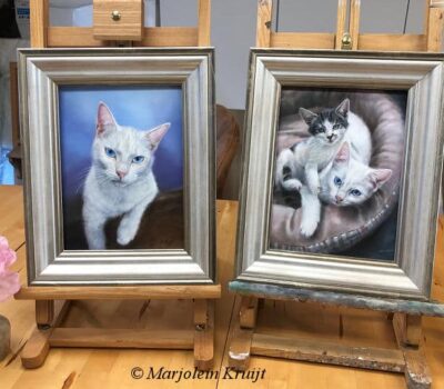 Pet portraiture, cat paintings by Marjolein Kruijt