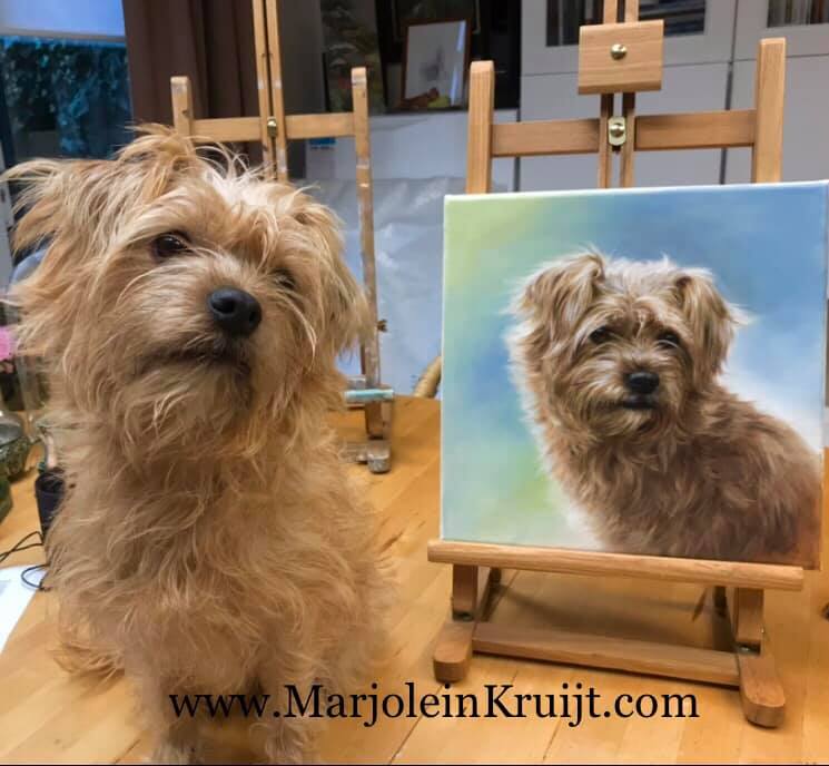 Portrait paintings of dogs in commission. Photo of the dog & the painting.