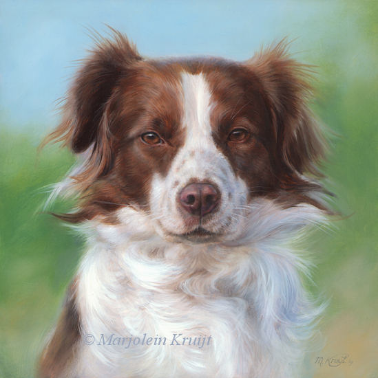 'Scotty', 20x20cm, oil painting (sold/commission)