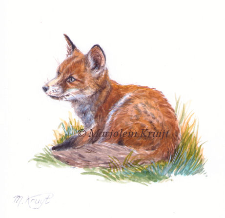 'Baby fox', painting 11x11 cm, (for sale)
