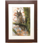'Long eared owl', pastel painting (for sale)