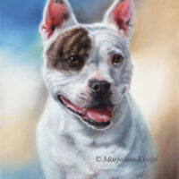 'English staffordshire bulterrier', 40x30 cm, oil painting (sold/commission)