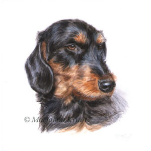 'Dachshund'-coco, portret 10x10 cm, acrylic on paper (sold)