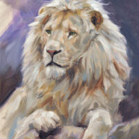 'White lion', 24x18cm, oil on panel (for sale)
