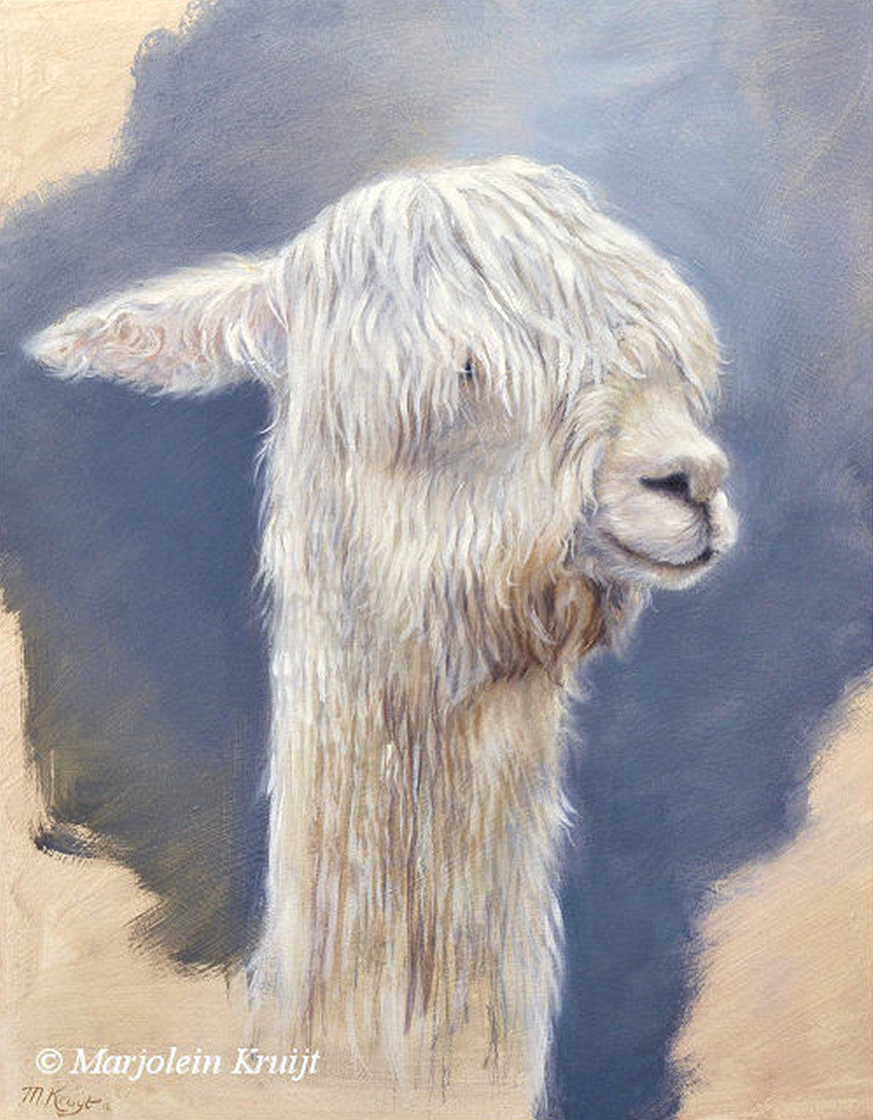 'Alpaca', 24x30 cm, oil painting (for sale)