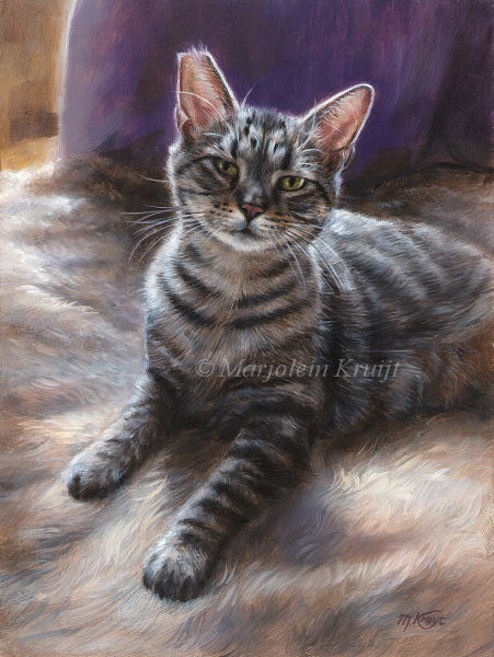 'Poezul'- rescue cat, oil painting 24x18cm (sold)