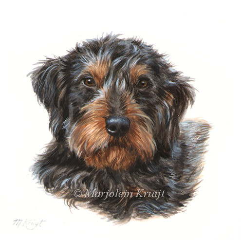'dachshund', Portrait in acrylics on paper (sold)