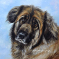 'Leonberger' - Penelope, 50x60cm, oil painting (sold)