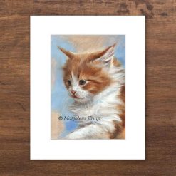 'Red-white kitten', 30x24 cm passepartout & 20x14cm print