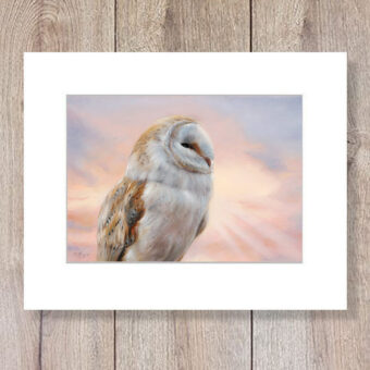 Barn owl artprint incl. mat