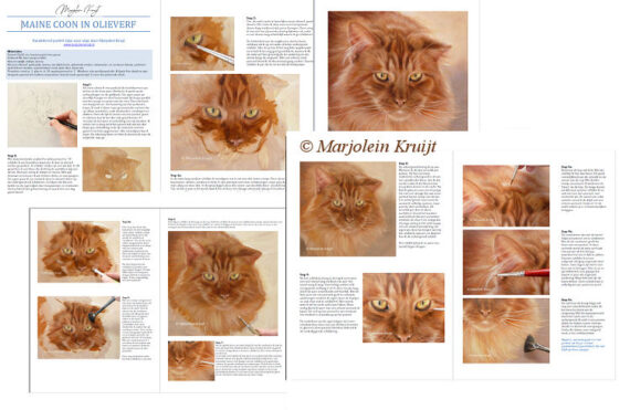 Instruction article Maine coon in oil -