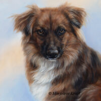 'Quinty', 30x24cm,oil on canvas (sold)