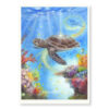 'Sea Turtle chelonioidea- Zeeschildpad' - limited edition print