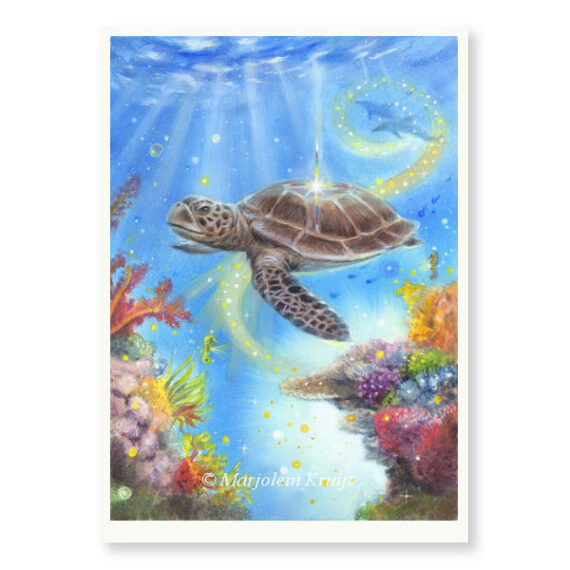 'Sea Turtle chelonioidea- limited edition print