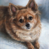 'Chihuahua', 40x30 cm, oil on panel (sold)