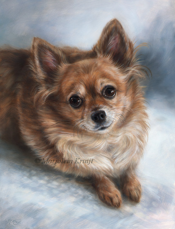 'Chihuahua', 40x30 cm, oil on panel (sold)