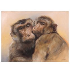 Southern pig-tailed macaque - 'Best friends', 30x40 cm oil painting (for sale)