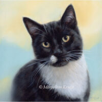 'Black and whie cat portrait'-Wobbie, 20x20 cm, oil on canvas (sold)
