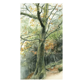 'Beech tree in autumn', ca. 25x15 cm, watercolour painting (for sale)