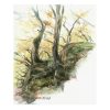 'Mystical trees - Yorkshire', ca. 30x24 cm, watercolour painting (for sale)