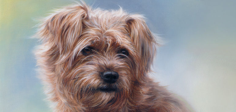 hollandse smous oil dog portrait painting