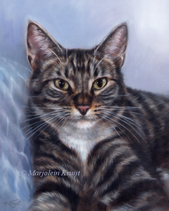 'Sammy'-cyper, 30x24 cm, oil painting on canvas (sold)