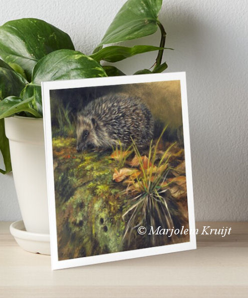 'Hedgehog', art print 20x20cm