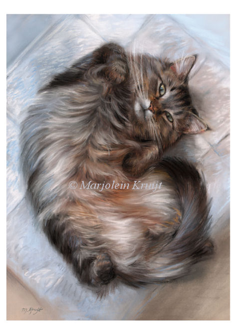 'Rolling Maine coon'- A4 artprint (for sale)
