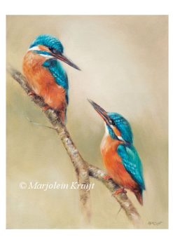 'King fishers', A4 artprint (for sale)