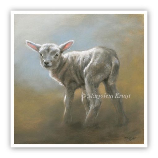 'Newborn - little lamb', painting art print (for sale)