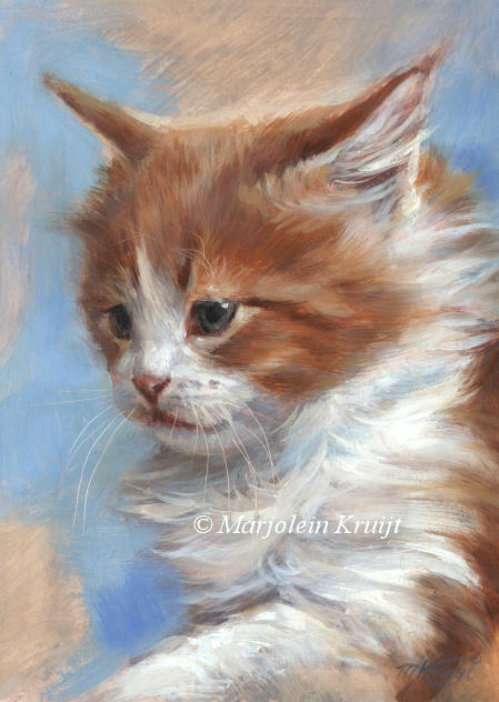 'Rood witte kitten', 18x13cm, olieverf (NTK) -artist collection