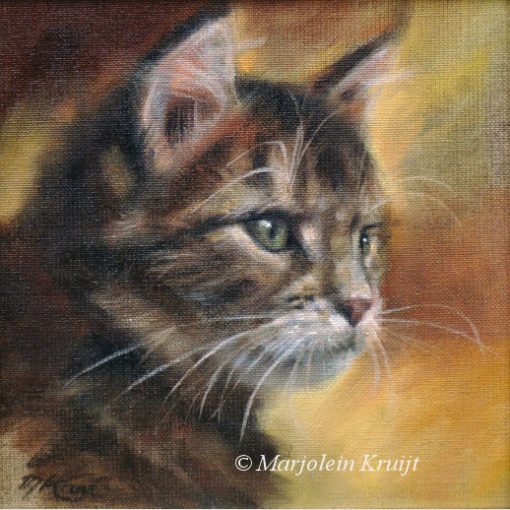 'Kitten portrait, 20x20 cm, painting [for sale]