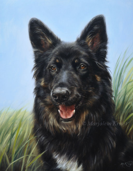 'German Shepherd mix'- Evi, 30x24cm, oil painting (commissioned/sold)