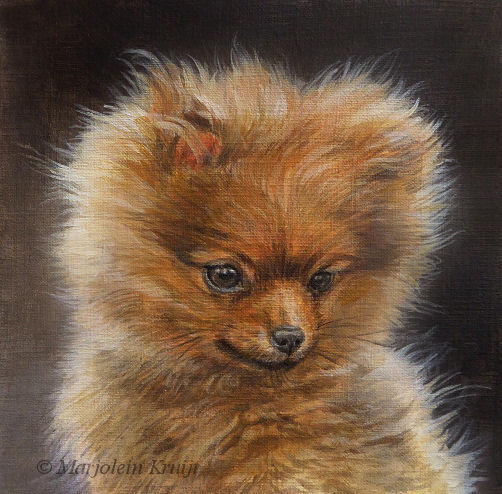 'Pomeranian puppy', 13x13 cm, acrylic, (for sale)