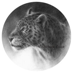 'Wondering mind' - Leopard, ⌀15cm, pencil incl. mat 20x20 cm (for sale)