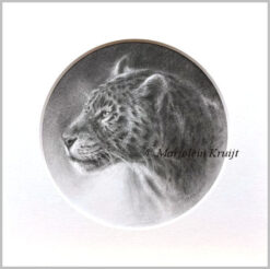 'Wondering mind' - Leopard, ⌀15cm, pencil incl. mat 20x20 cm (for sale)