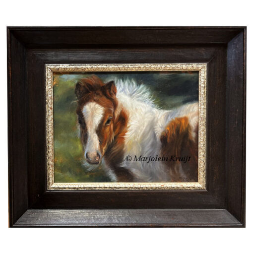 'Shetland pony foal', painting 18x24cm [for sale]