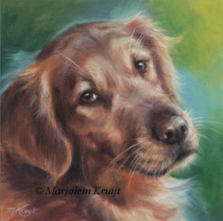 'Golden retriever'- I love you, oil painting (for sale)