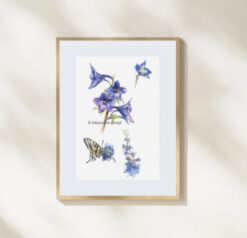 Vlinder aquarel schilderij 'Koninginnepage met ridderspoor"(te koop)