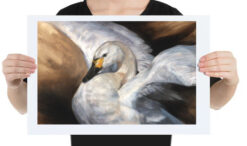 'Gracious swan', HQ giclée art print, interior design art reproduction [for sale]