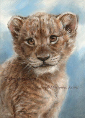 'Lion cub', oil painting, 18x13cm (for sale)