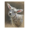 'Little lamb', 26x24 cm, pastel drawing