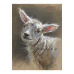 'Little lamb', 26x24 cm, pastel drawing